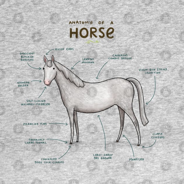 Anatomy of a Horse by Sophie Corrigan